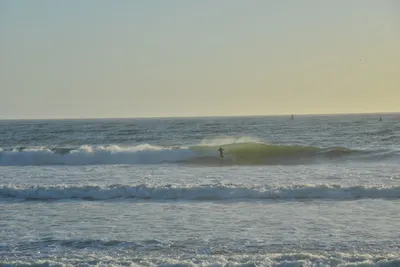 DSC_7247 (Large).JPG